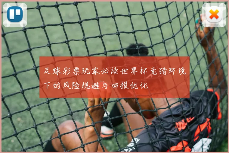 足球彩票玩家必读世界杯竞猜环境下的风险规避与回报优化