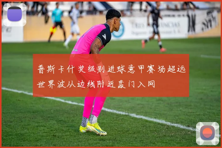 普斯卡什奖级别进球意甲赛场超远世界波从边线附近轰门入网